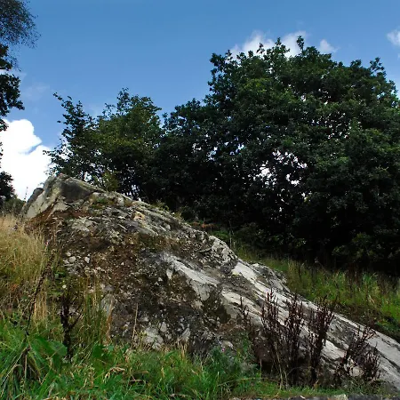 Billy Boo * Backbarrow
